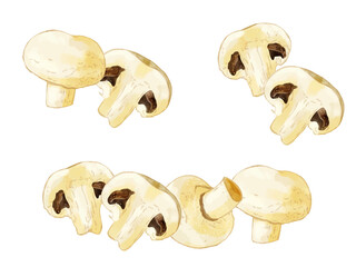 手描き水彩のホワイトマッシュルームイラストワンポイントラインセット