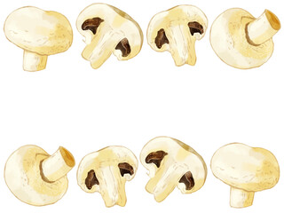 手描き水彩のホワイトマッシュルームイラスト長方形フレーム・上下