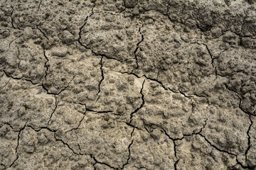 dry cracked earth texture.