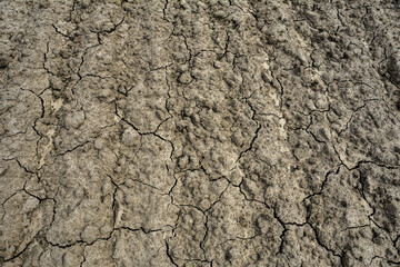 dry cracked earth texture.