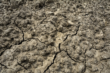 dry cracked earth texture.