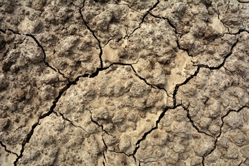 dry cracked earth texture.