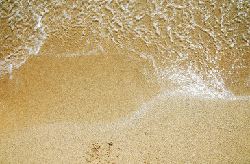 Drawing  starfish, shells  paper on the beach sand background.
