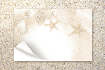 Drawing  starfish, shells  paper on the beach sand background.