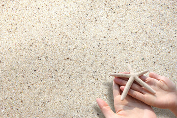 Drawing  starfish, shells  paper on the beach sand background.