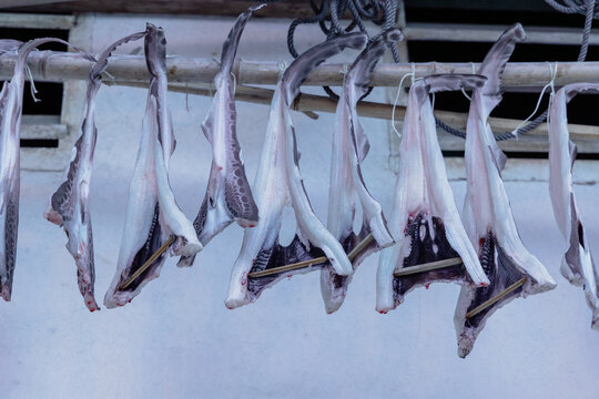 "Drying Fish" Images – Browse 792 Stock Photos, Vectors, and Video ...