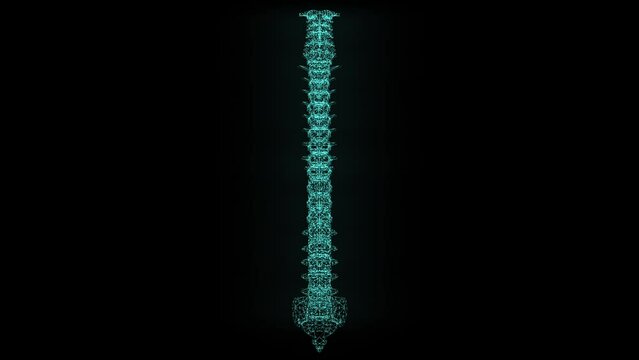 Digital, 3d and medical with x ray of spine for data, research or hologram technology. Medicine, healthcare and science scan of skeleton anatomy on black background for futuristic, abstract or bones