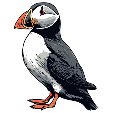 recommend clip art: Drawn cute dodo flying over tropical landscape