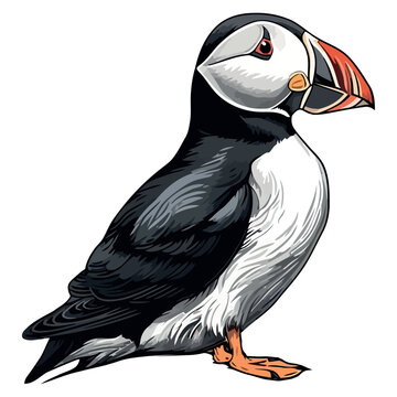 recommend clip art: Cute dodo over the arctic waters