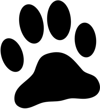 Animal Footprints Wildlife Pet Paws