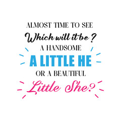 Almost time to see Which will it be ? A handsome a little he or a beautiful little she ? Gender reveal party card, banner vector element design - obrazy, fototapety, plakaty
