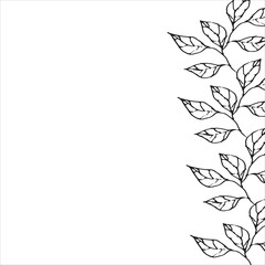 Seamless vector vertical border with leaves. Set of ink hand drawing wild herbs, monochrome artistic botanical illustration for backgrounds. Temlate for wedding cards and polygraphy.