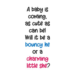 Obraz premium A baby is coming, as cute as can be! Will it be a bouncy he or a charming little she. Gender reveal party card, banner vector element design 