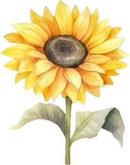 Sunflower Watercolor Illustration. Generative AI