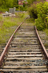 Fototapeta na wymiar chemin de fer abandonné - rails rouillés au milieu de la végétation dans une petite ville de campagne