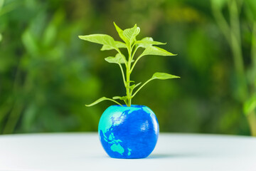 地球の描かれた植木鉢から発芽する植物