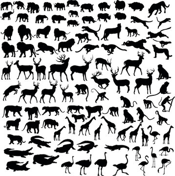 101 Animal Silhouette Set