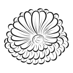 Floral design for print or use as poster, card, flyer or T Shirt