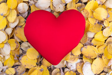Red pillow in the shape of a heart on bright yellow leaves in the forest. Autumn mood. Seasonal...
