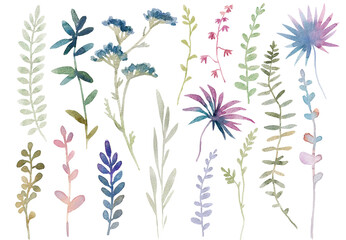 Beautiful clip art stock illustration set with hand drawn watercolor branch with leaves.