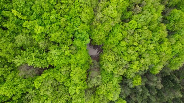 Forest road on the Abruzzo mountains 4K drone zenithal