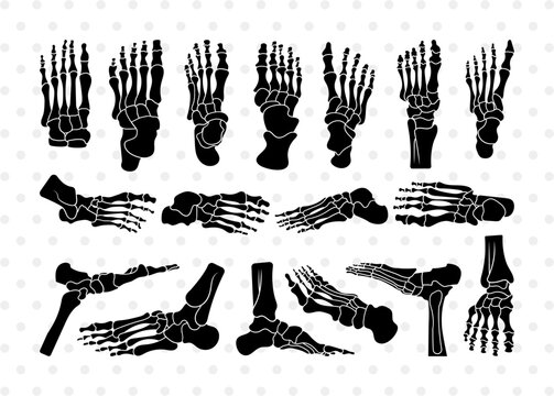 Human Foot Anatomy Silhouette, Human Foot Anatomy SVG, Foot Anatomy Svg, Foot Bones Svg, Foot Anatomy Bundle, SB00804
