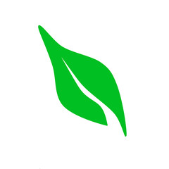 Green leaf icon
