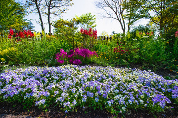 久住のイングリッシュガーデン