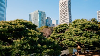 Fototapeta premium Hamarikyu Gardens is a natural park area in Shiodome District in Tokyo, Japan