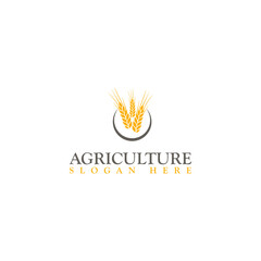 Agriculture icon logotype template. Wheat farm logo design isolated on white background
