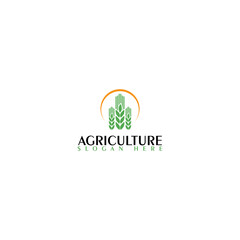 Agriculture icon logotype template. Wheat farm logo design isolated on white background