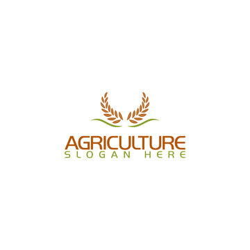 Agriculture icon logotype template. Wheat farm logo design isolated on white background