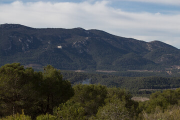 Fototapeta na wymiar Paisaje del parque natural de la Fuente Roja con pinos en primer plano, Alcoy, España