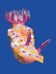 Drawing Sea slug, beautiful, anemon, art.illustration, art.illustration, vector