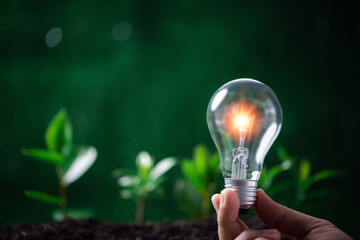 Concept of renewable energy innovation and green earth. Sustainable clean energy sources. Environmental protection, Idea sustainable energy sources. Hand holding light bulb on green nature background.