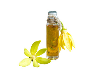 natural herbal oils extract flowers ylang ylang aroma therapy arrangement flat lay style 