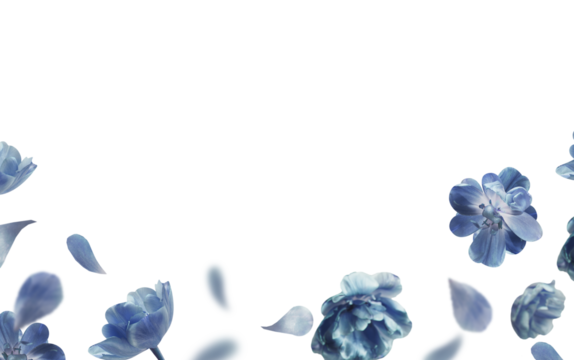 Blue flying flowers and petals overlay. Floral border, isolated