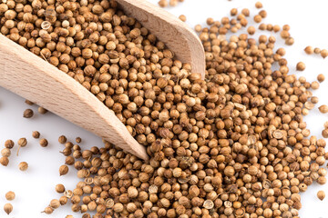 Coriander seeds in wooden scoop
