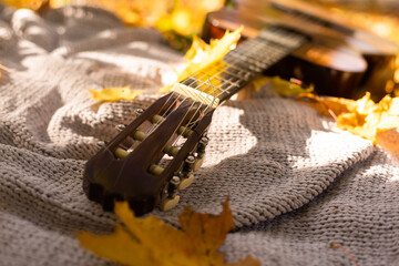 Fototapeta na wymiar yellow maple leaves lie on a guitar on a plaid in the park. side view. autumn.
