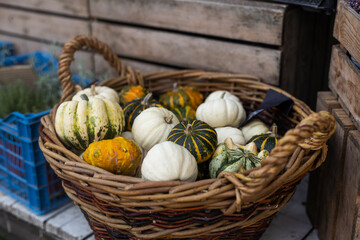 House entrance decorated for traditional autumn holidays. Porch of the house decorated with pumpkins for Thanksgiving or Halloween.