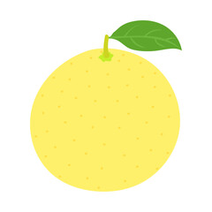 晩白柚。フラットなベクターイラスト。
Cultivar of pomelo (Citrus maxima, Citrus grandis). Flat designed vector illustration.
