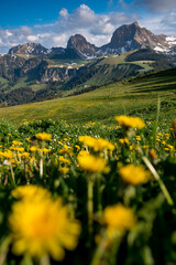 peak of Gantrisch ad Nüneneflue in spring
