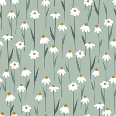 Seamless pattern with delicate camomile flowers
