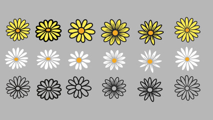 set of daisy flowers