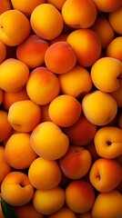 Ripe apricots fruit background with ai generative
