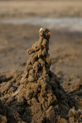 soil in the desert
