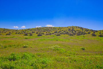 Exploring the Carrizo Plain super bloom and abandoned farms