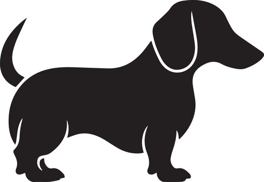 Dog head logo, Dachshund logo isolated on a white background, Vector, Illustration, SVG