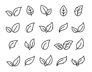 Linear leaves and branches silhouettes set icon