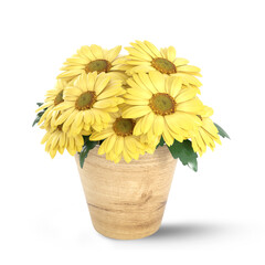 3D Rendering Yellow Gerbera Flowers Isolated On White Background